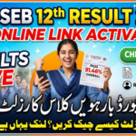 PSEB 12th Result 2026